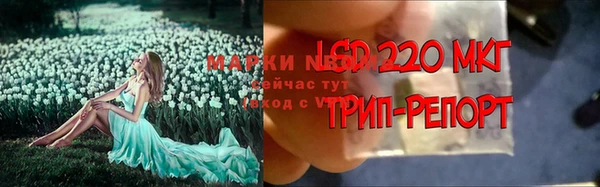 крисы Алзамай