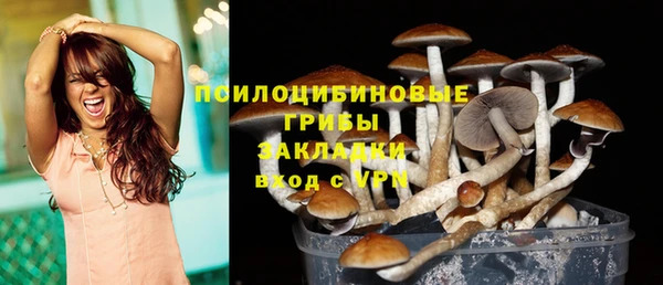 ECSTASY Алексин