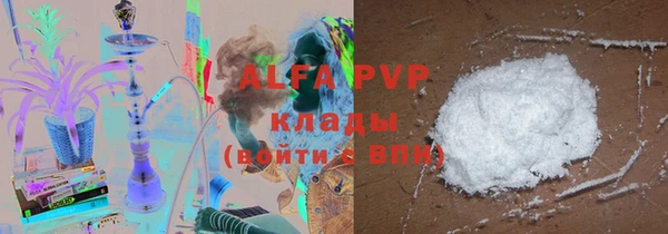 крисы Алзамай